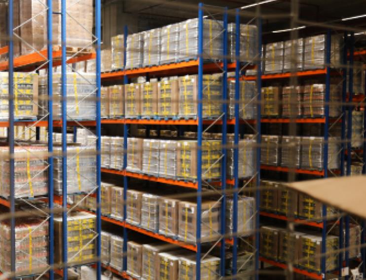 serviciu de depozit vamal in locatia RARA Logistic Bucuresti CTP1